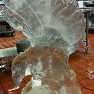 Meet your Posher, Virginia